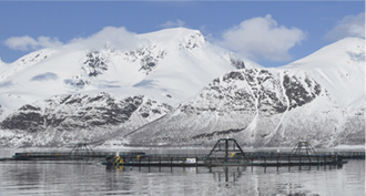 Lerøy Seafood Group