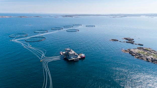 Havbruksanlegg i sjøen.
