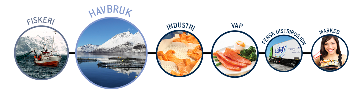 Verdikjeden illustrert