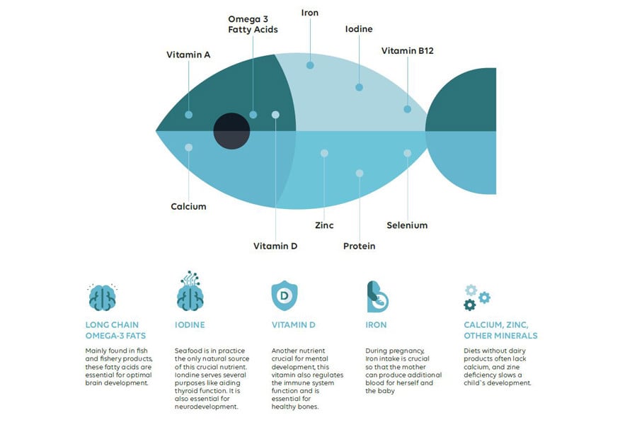 Illustration showing why seafood is healthy
