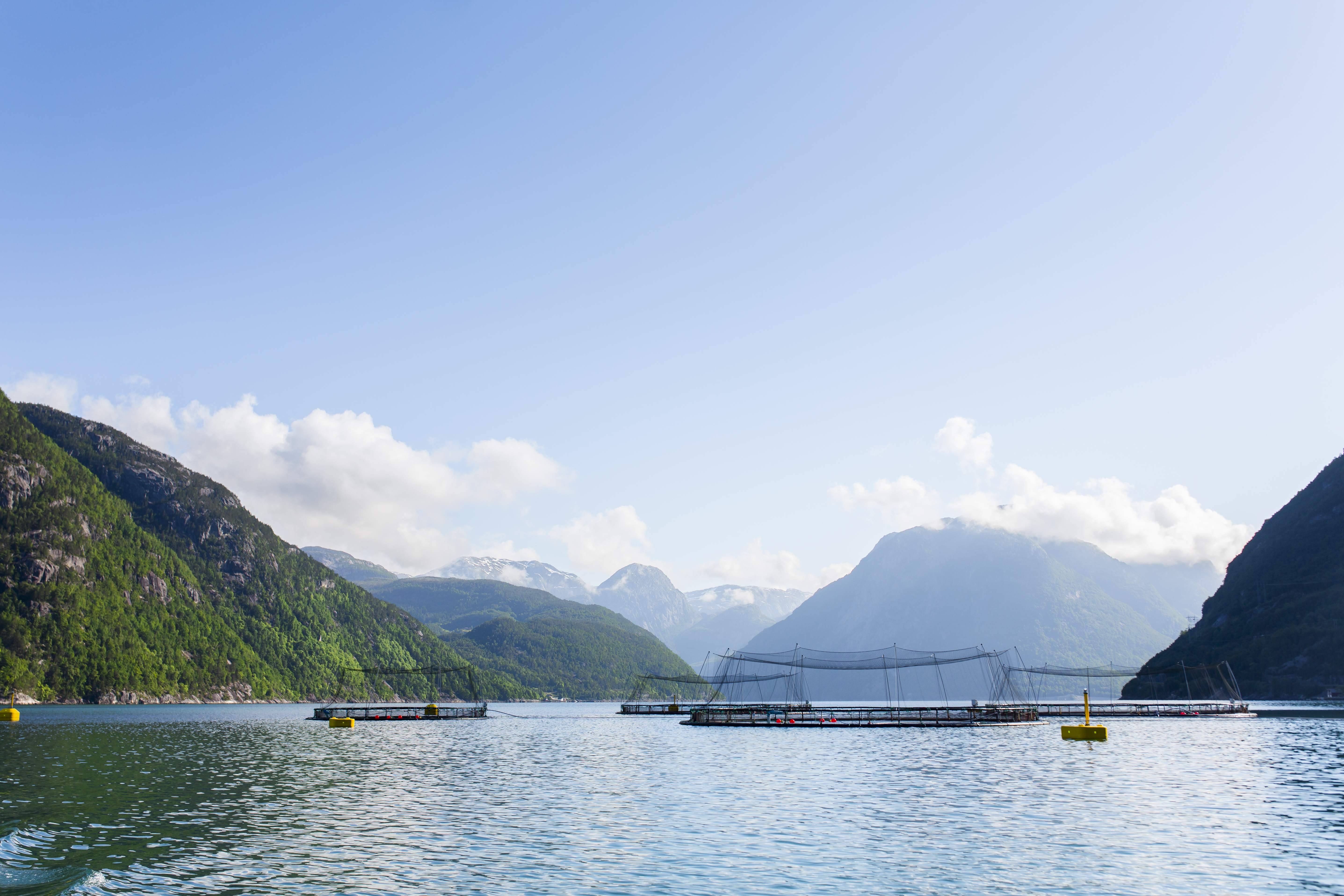 Merder i sjøen ved fjord og fjell